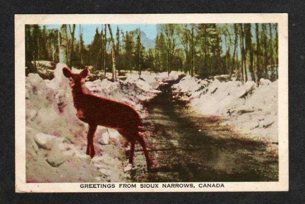 ON Greetings SIOUX NARROWS ONTARIO Postcard Deer Snow