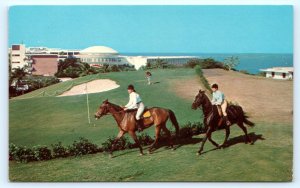 LAS CROABAS, Puerto Rico ~ EL CONQUISTADOR HOTEL Horses Golf Course Postcard