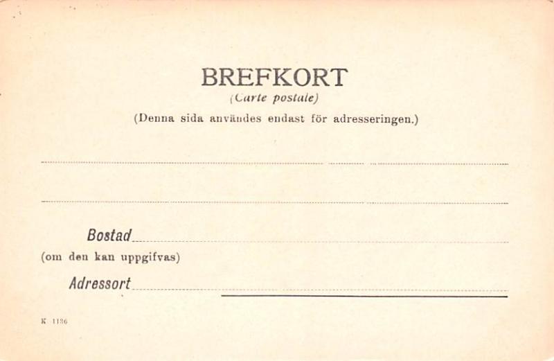 Sweden Old Vintage Antique Post Card Linkopig Jernvagsparken Unused