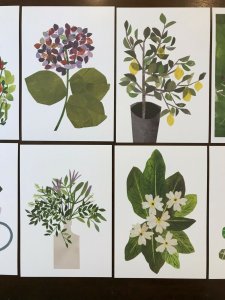 Lot of 10 Beautiful Flower Floral Art Postcards by Artist Clover Robin