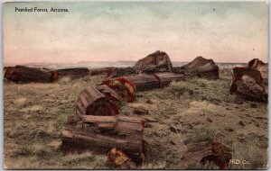 Flagstaff Arizona AZ, Petrified Forest, Scattered Wood Logs, Vintage Postcard