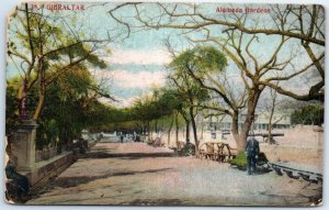 Postcard - Alameda Gardens - Gibraltar, British Overseas Territory