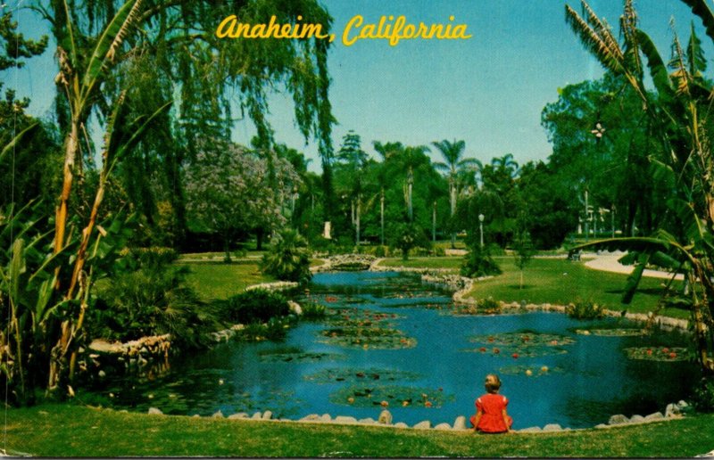 California Anaheim City Park Water Lily Pond 1971