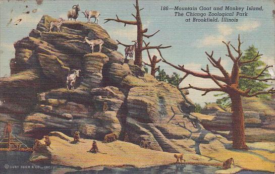 Mountain Goat and Monkey Island Chicago Zoological Park Brookfield Illinois C...