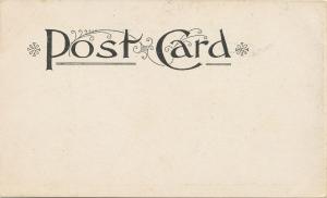 Milton on Hudson NY The Old Willow Tree UB NM UNUSED 