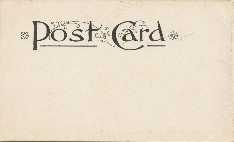 Milton on Hudson NY The Old Willow Tree UB NM UNUSED 