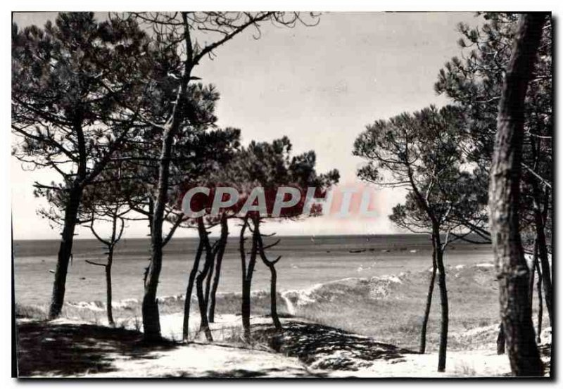 Postcard Old Island Normoutier Vendee Thorn les Pins at the Moulin de la Bosse