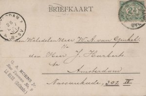 Netherlands Den Haag The Hague Vis en Groenmarkt Vintage Postcard 03.74 
