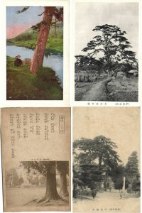 JAPAN ASIA TREES 150 Vintage Postcards Pre-1950 (L2402)