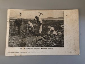 1906 ROCK OYSTER DIGGING Newport Oregon A L Thomas Posted Postcard