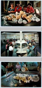 3 Postcards MUSEUM of SCIENCE & INDUSTRY Chicago IL ~ Hatching BABY CHICKS 1960s