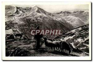 Old Postcard The herd of salt in the Pyrenees mountain Sheep