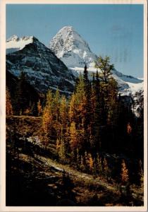 Mount Assiniboine Alberta AB near Banff c1982 Vintage Postcard D38