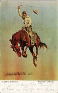 Bucking Broncho Western Canada Cowboy Bronco Horse Postcard F50