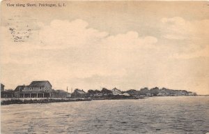 J54/ Patchogue Long Island New York Postcard c1910 Shore Cottages 225