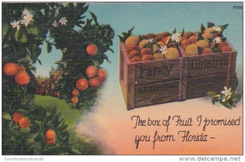 Florida The Box Of Fruit I Promised You From Florida