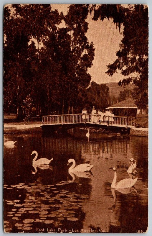 Los Angeles California c1910 Postcard East Lake Park Swans