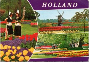 Postcard Advert NJ Montvale - Dutch Gardens Direct Holland Bulb Sales