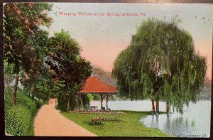 Vintage Postcard 1911 Weeping Willow at the Spring, Altoona, PA