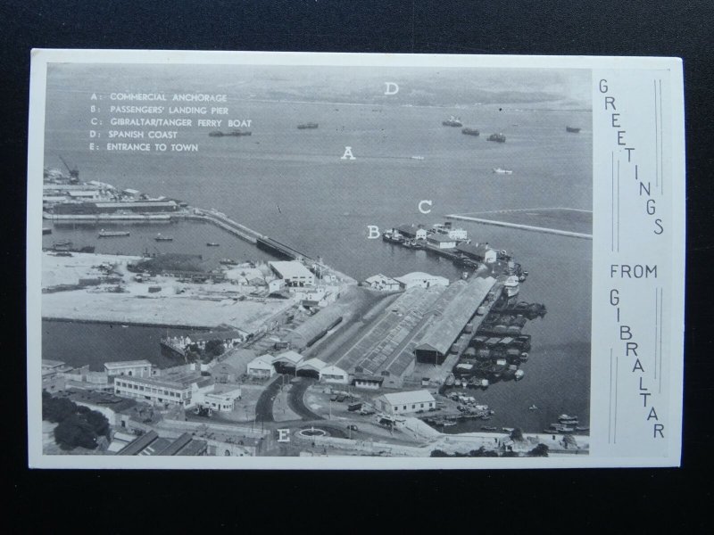 Gibraltar DOCKS / PORT / PIER & SPANISH COAST - Old Postcard by The Rock Studio