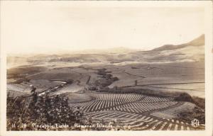 Hawaii Pineapple Fields Real Photo