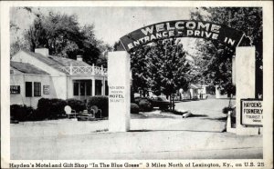 Lexington Kentucky KY Hayden's Motel and Gift Shop Vintage Postcard