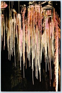 Postcard - Straw stalactites, Ruakuri Cave - Waitomo, New Zealand