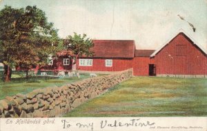 Sweden Halland Farm 1900s Axel Eliasson Postcard