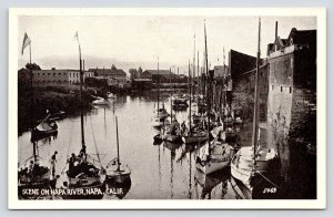 Postcard Boats Scene on Napa River, Napa California Pacific Novelty Co 5469  P1