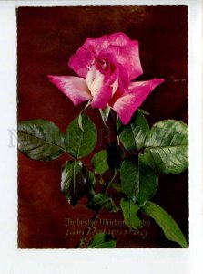 422702 GERMANY 1975 year Grretings name day roses ADVERTISING Bonn RPPC