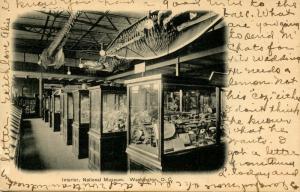 DC - Washington. Washington National Museum. Interior