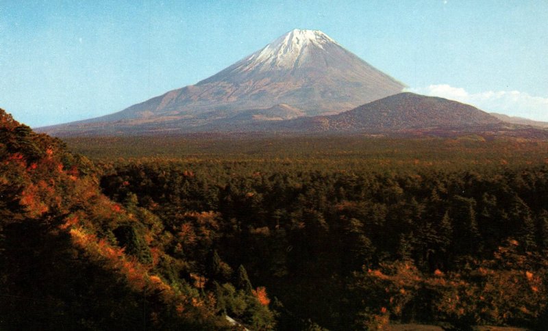 Forest Zone of oki-ga-hara,Japan