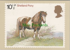 Post Office Postcard - Horses, Shetland Pony, First Day of Issue Stamp RR20231