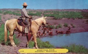 Vintage Postcard Riding A Horse Greetings From Kearney Nebraska Pub by. Noble