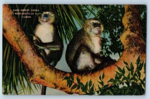 Miami Florida Postcard Monkey Jungle Miles South Exterior c1942 Vintage Antique