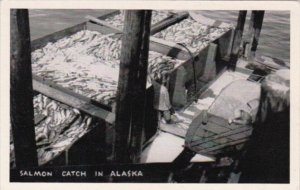 Alaska Salmon Catch In Alaska
