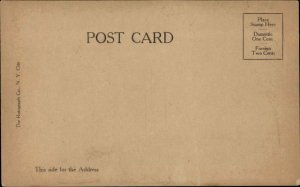 St Bernard ?? Puppy Dogs c1910 Real Photo Postcard