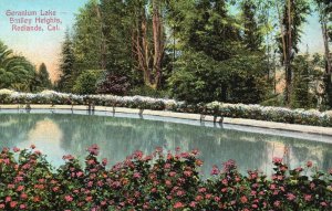 Redlands CA-California, Geranium Lake Smiley Heights Flower Landscapes Postcard