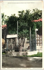 c1910 RIVERSIDE CALIFORNIA ORANGE TREE GLENWOOD MISSION ROOSEVELT POSTCARD 41-82