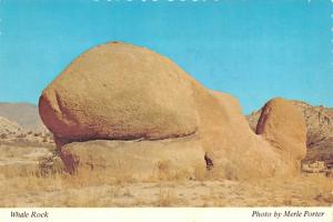 Whale Rock - Needles, California