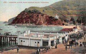 Aquarium, Avalon, Santa Catalina Island, CA c1910s Vintage Postcard