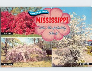 Postcard The Hospitality State, Greetings From Mississippi