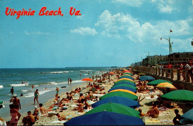 Virginia Virginia Beach Sun Bathers