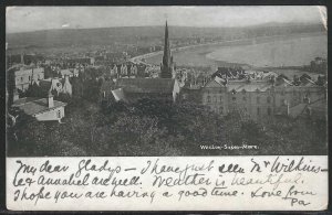 View of Weston-Super-Mare, England, Great Britain, 1902 Postcard, Used