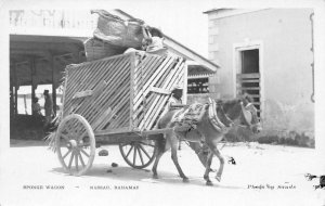 Nassau Bahamas Sponge Wagon Real Photo Vintage Postcard AA69249