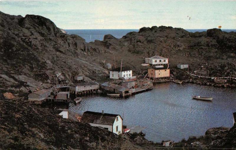 Triangle Labrador Canada Harbor View Fishing Vintage Postcard JD933935