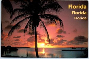 Postcard - A breathtaking view is not uncommon in Florida