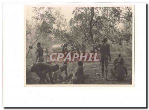 Africa Photo 23 * 17cm Bearers in the bush SUP and RaRe