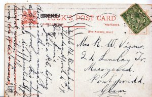 Genealogy Postcard - Family History - Vigour - Pontypridd - Glamorgan    U3070