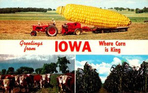 Greetings From Iowa Where Corn Is King Split View